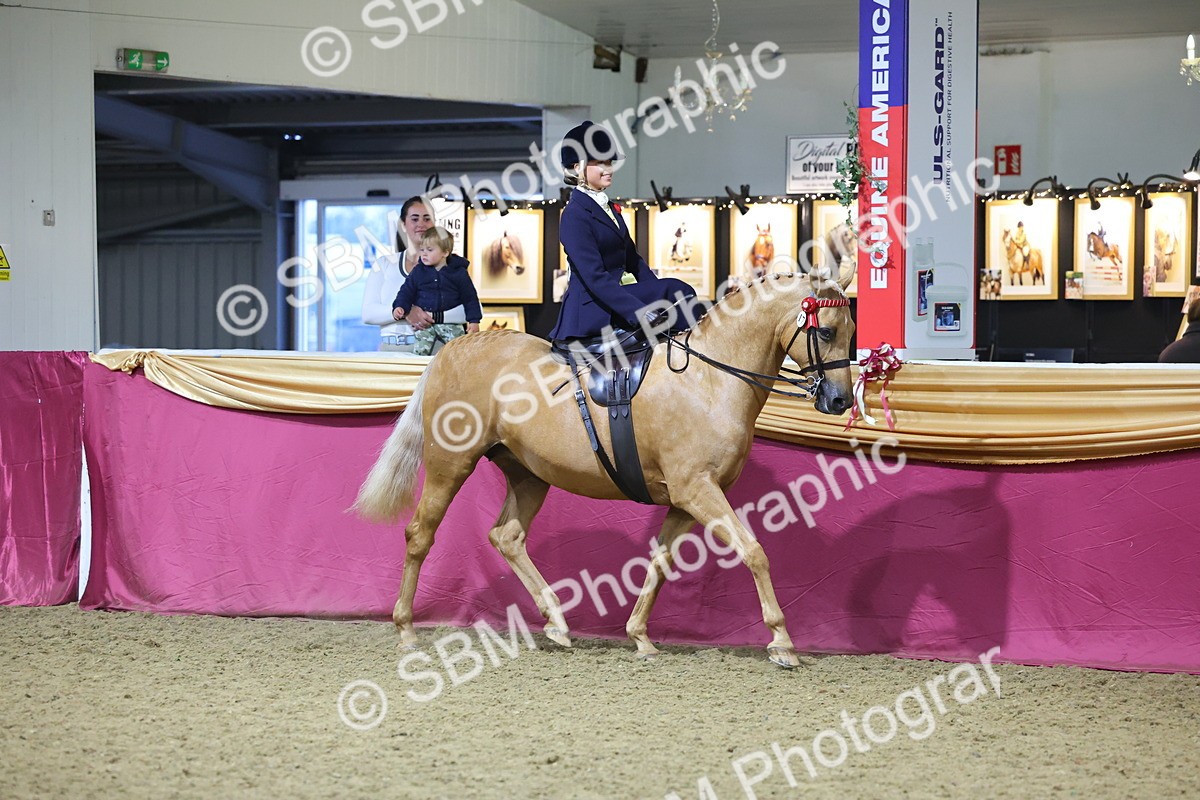 0B8A4251 - Class L Side Saddle Champ