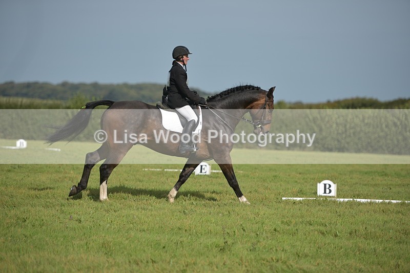 RAY_7991 - Class 2B: Trekenning Open: Dressage