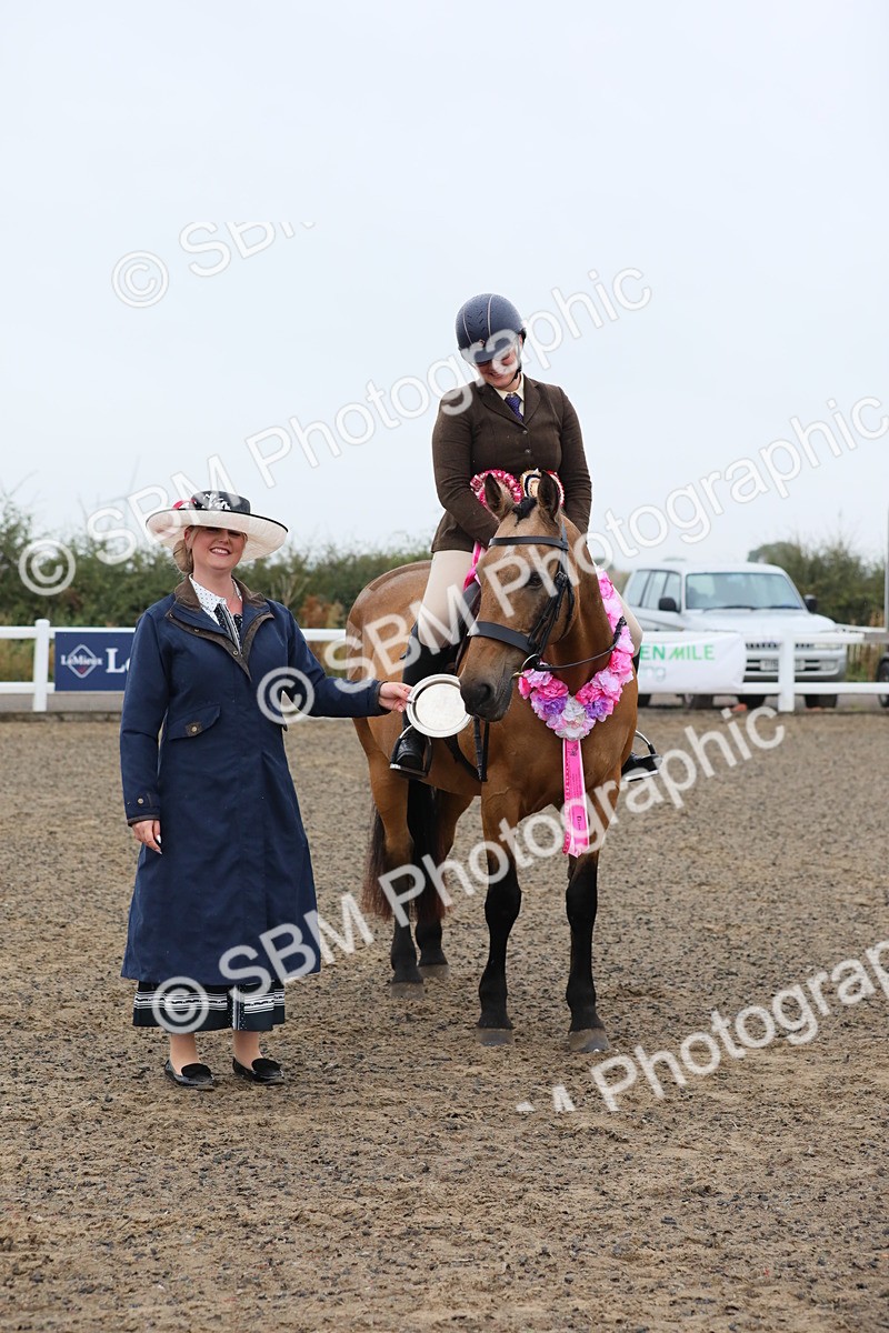 SBM_19957 - Class 801 - Ridden Veteran
