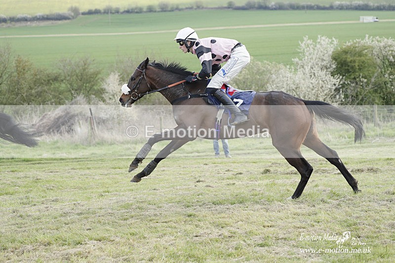 PtP 080423 986 - Dingley Races The Woodland Pytchley Hunt PtP 08/04/23