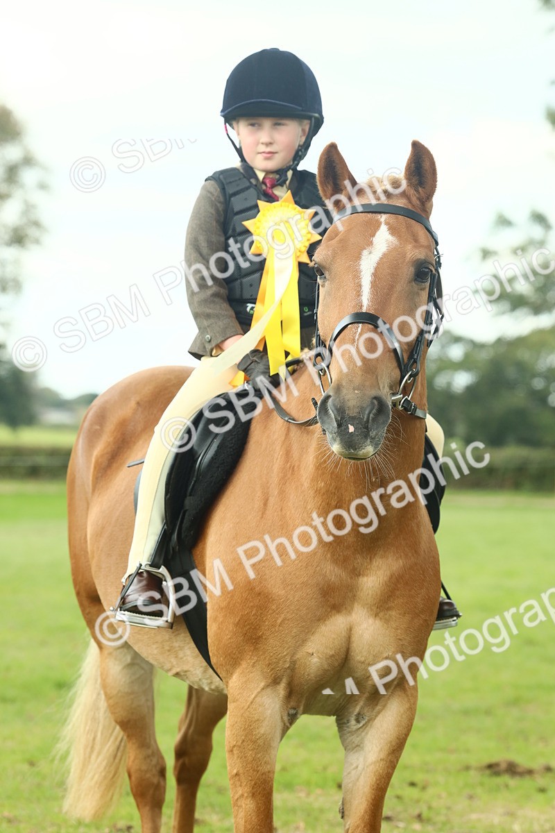 SBM_62550 - S62 - Foreign Breeds Ridden