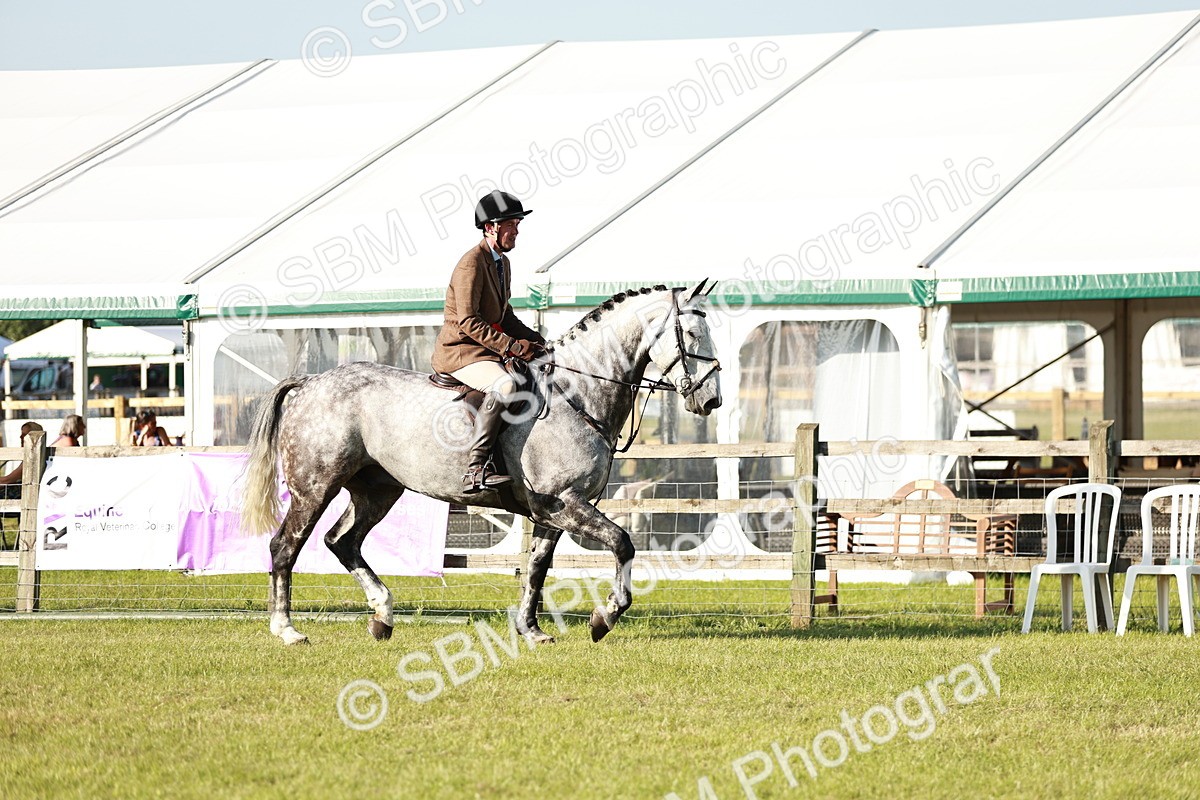 SBM_20072 - Class 115-116 - LIHS BSHA Rising Star Working Hunter & Show Horse