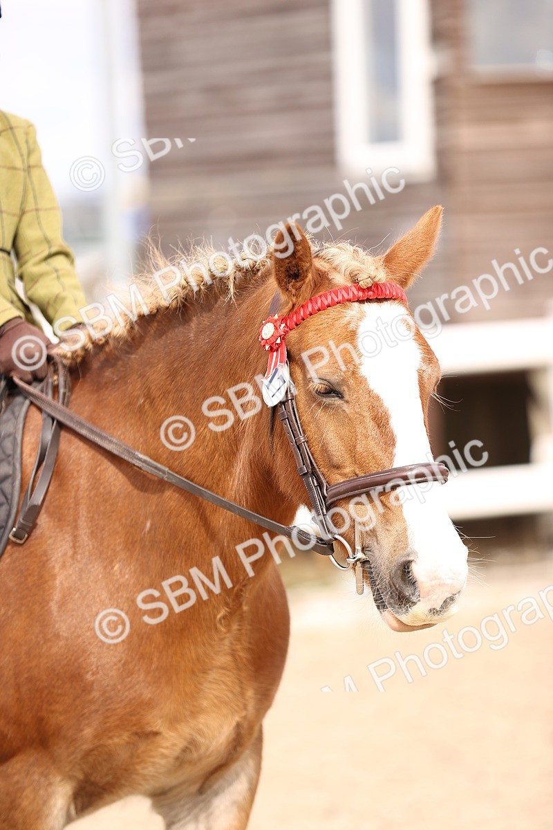 SBM_16144 - Class 420 - Horse-Pony Judge would most like to take home (IH or Ridden) Jnr