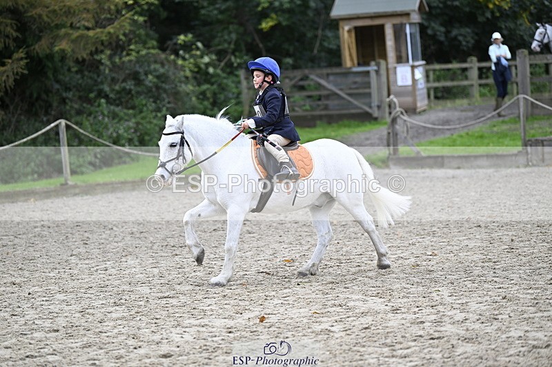 251005A-120810-03618 - Cls 08 Mini 70-75cm