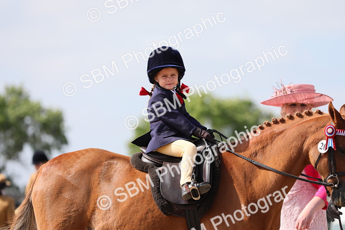 SBM_13997 - Class 309 Lead Rein Pony