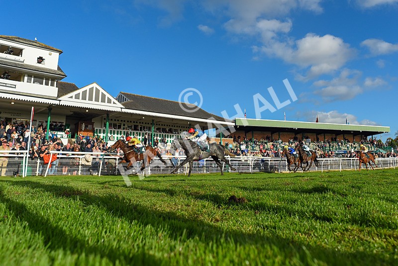 191024-Race 5-Vince Le Prince-2173 - Race 5