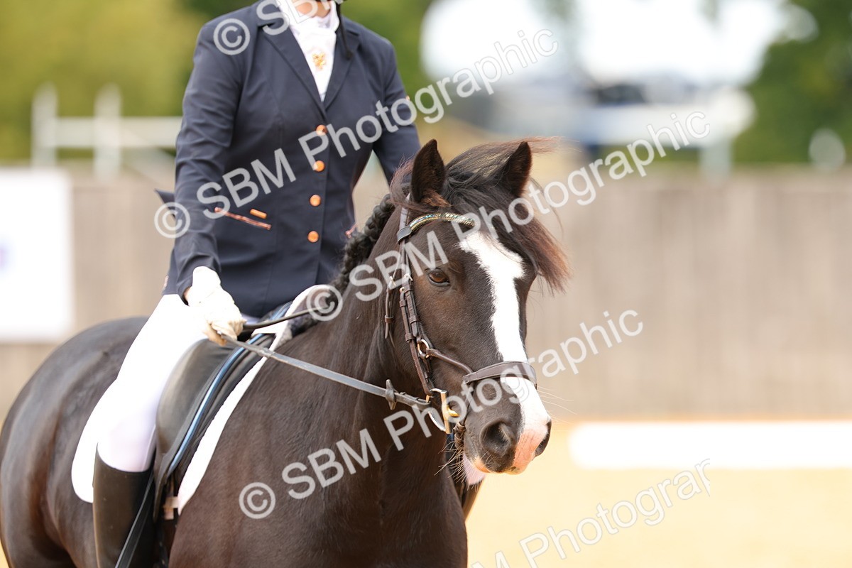 SBM_44002 - D22 - Junior Championship - Intro B