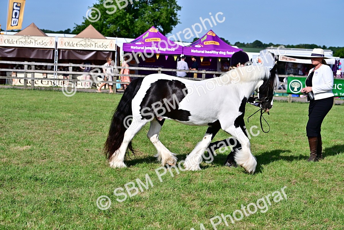 SBM_10111 - Class 63-65 - Traditional Gypsy Cobs In Hand & Ridden