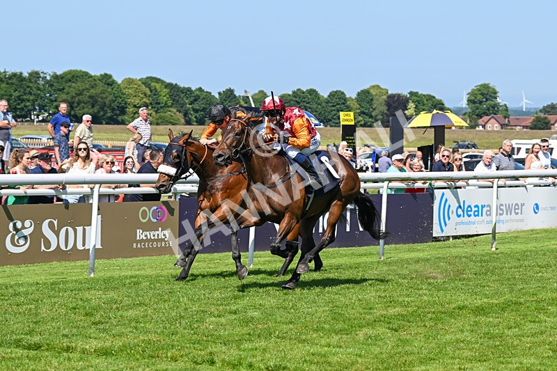 250624-Race 4-Lincoln Rockstar-5640 - Race 4