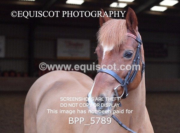 BPP_5789 - Sarah Page