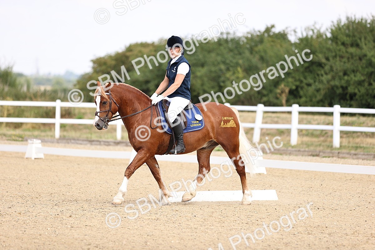 SBM_006578 - Intro 3 - 9.46-10.46