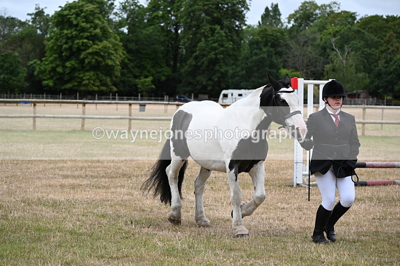 WJ6_4373 - Class 10 Coloured In-hand
