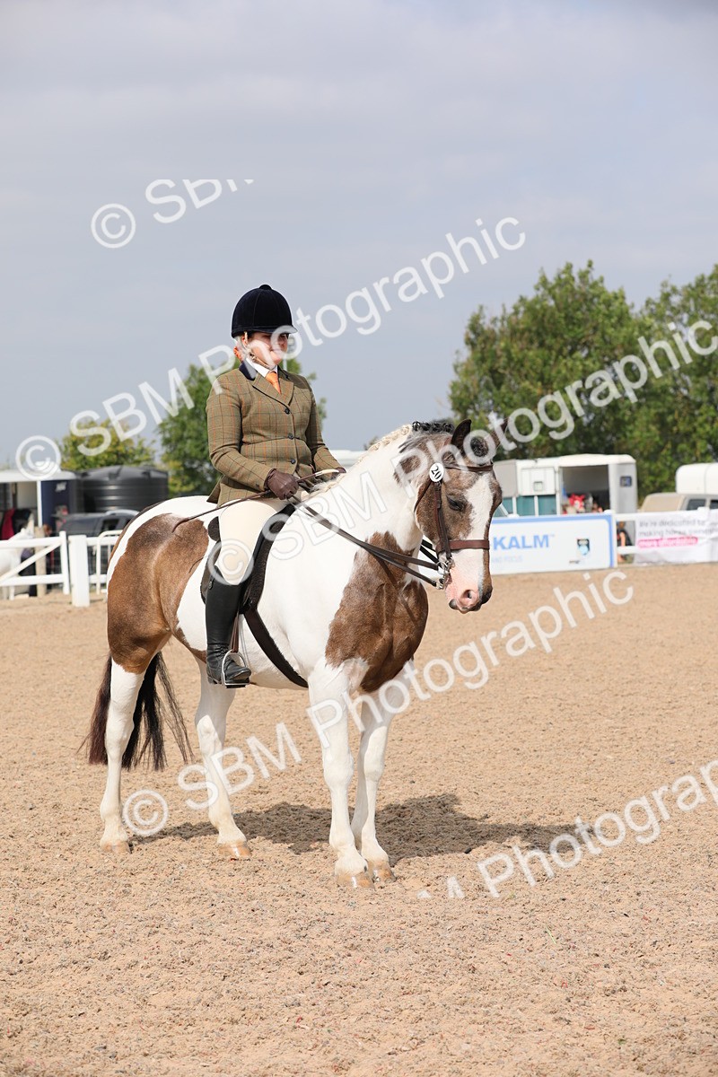 SBM_12829 - Class 307 Ridden Coloured Pony