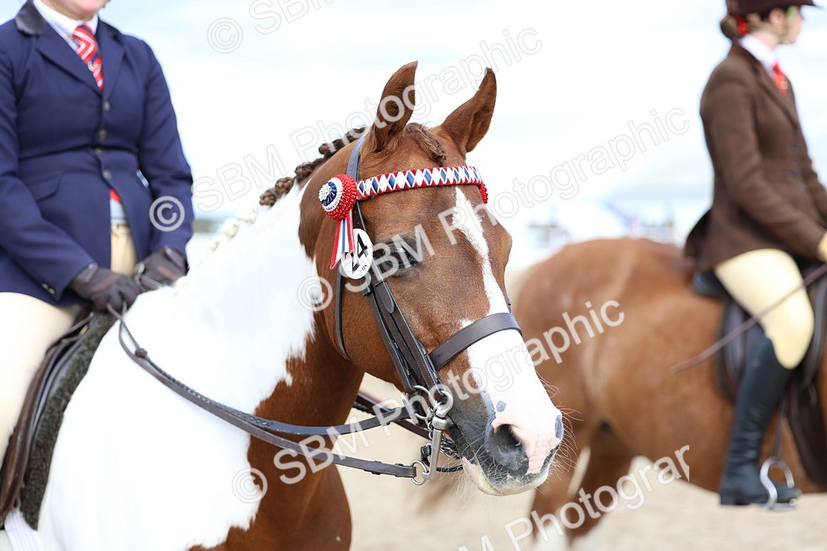 SBM_17591 - Class 316 - Best Pony - Rider Combination