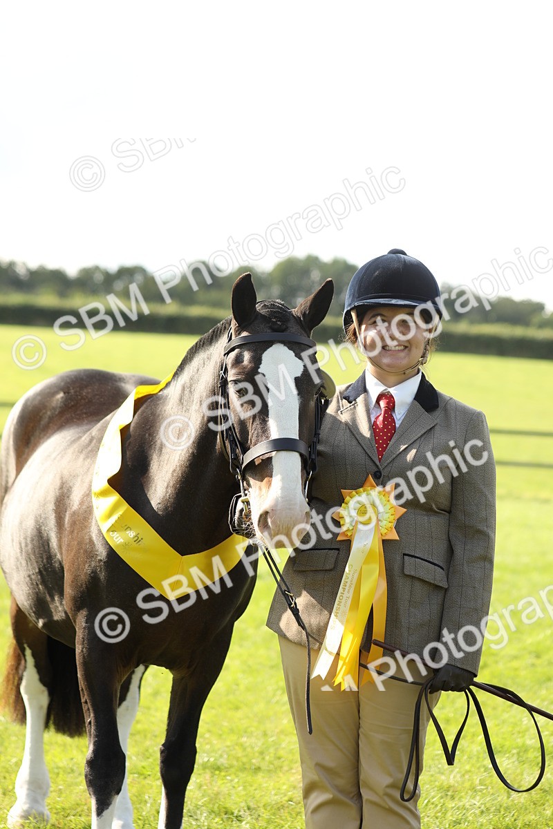 SBM_62359 - S45 - Mini Show Cob In Hand