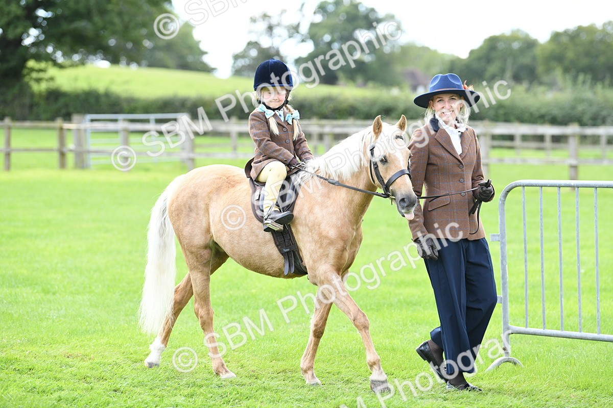 SBM_42409 - S20 - Lead Rein Mountain & Moorland Pony