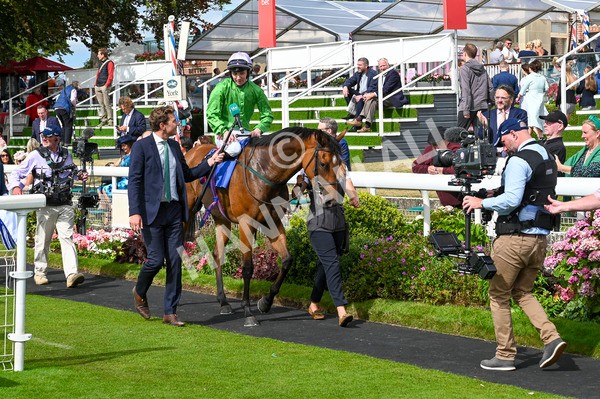 240824-Race 3-Breege-0626 - Race 3 3.00pm Sky Bet City Of York Stakes