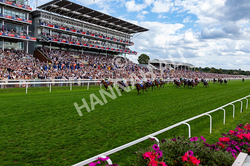 220826-Race 4-Daiquiri Bay-0454 - Race 4 15.35pm Sky Bet Ebor Handicap