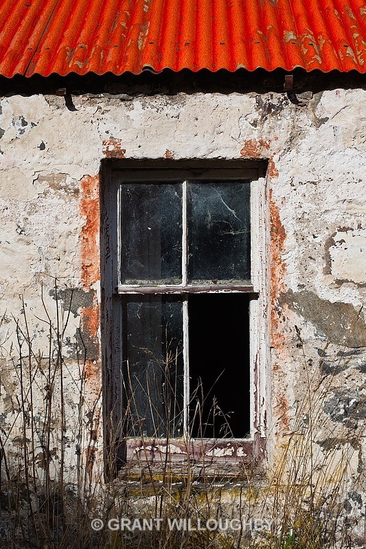  - Detail in the land