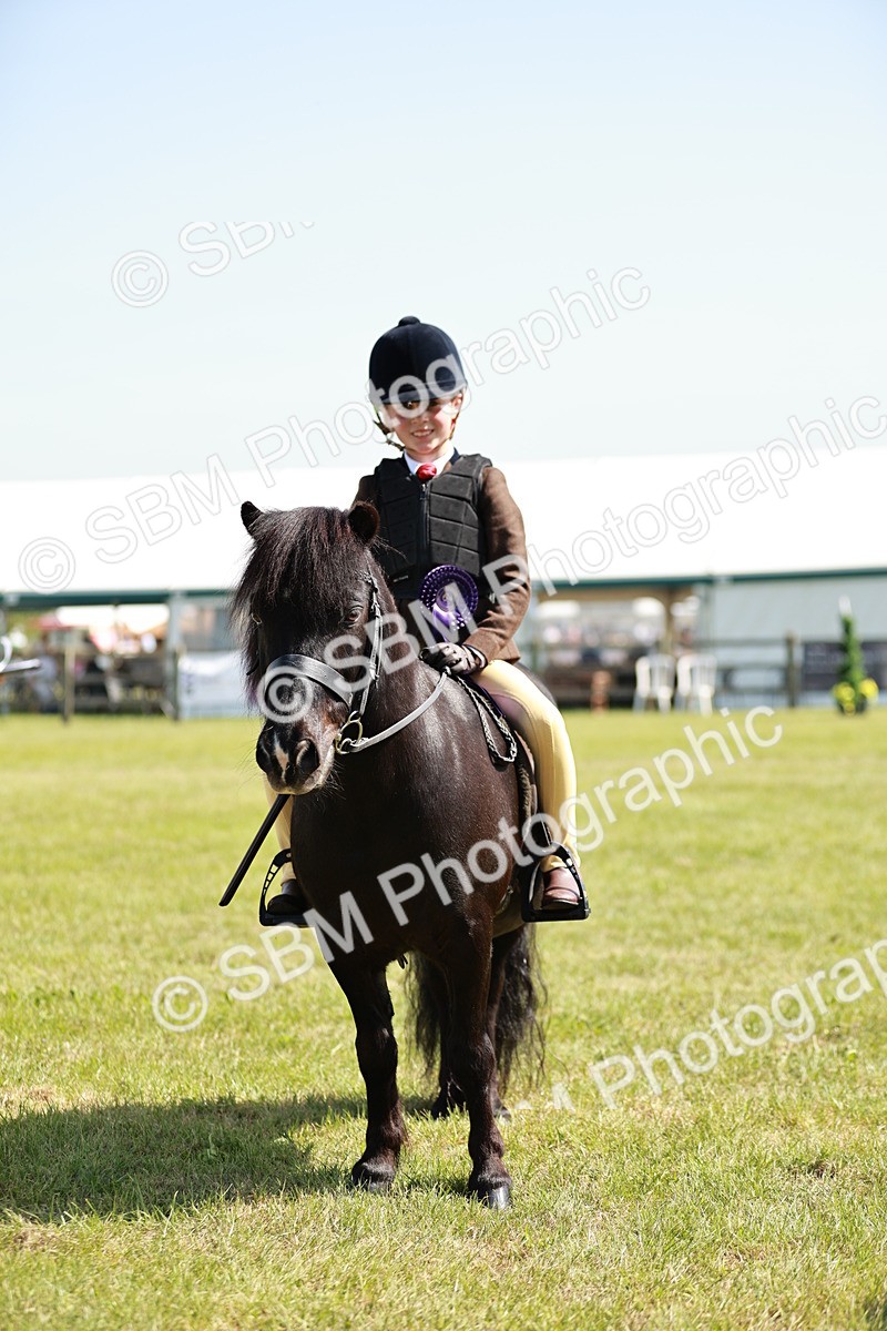 SBM_12810 - Class 106-107 - BSPS LIHS Working Sports Pony