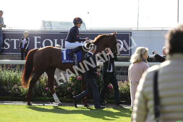 yr08102022r3-9 - Race 3 2.40pm The Coral 'Beaten-by-a-Length' Free Bet Handicap