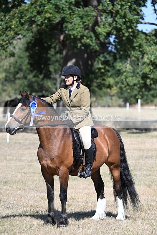 WJ7_4149 - Class 9 Mountain & Moorland Ridden
