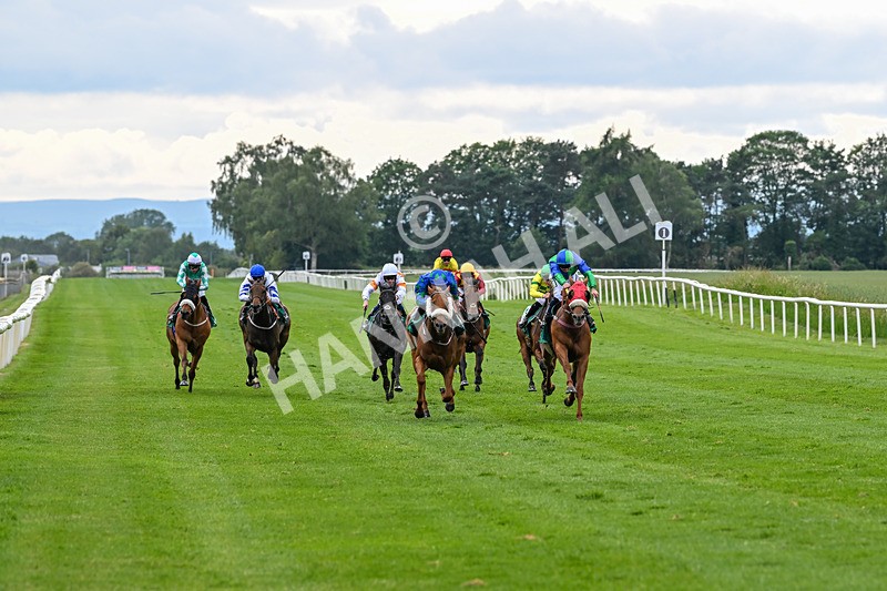 170625-Race 4-Lord Abama-5128 - Race 4