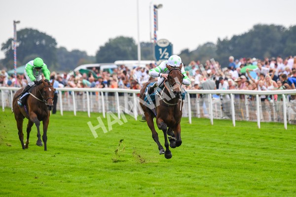 100923-Race 3-Yorkindness-0642 - Race 3 2.45pm Fine Details Vehicle Valeting Handicap