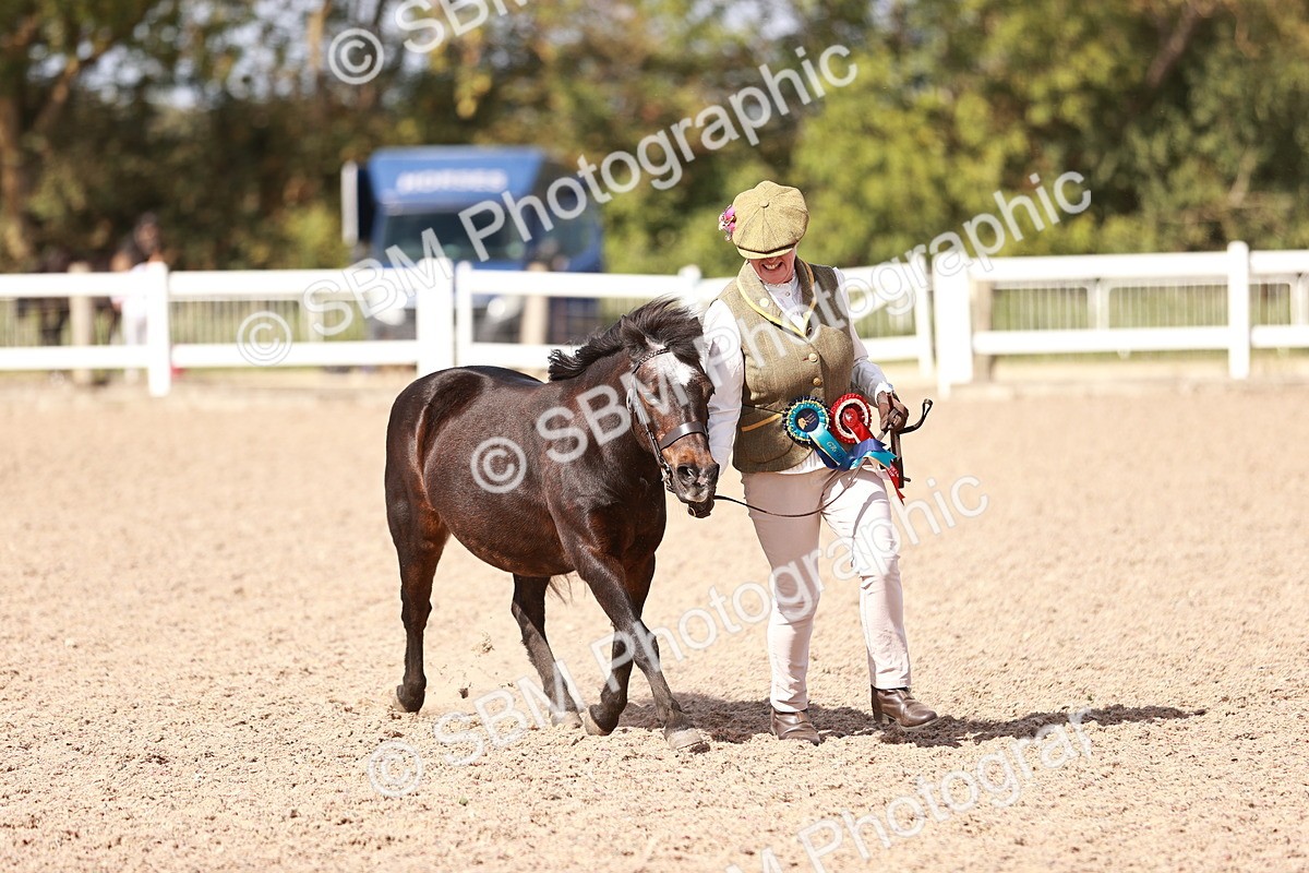 SBM_23026 - Class 707 - IH groom Helpers Class
