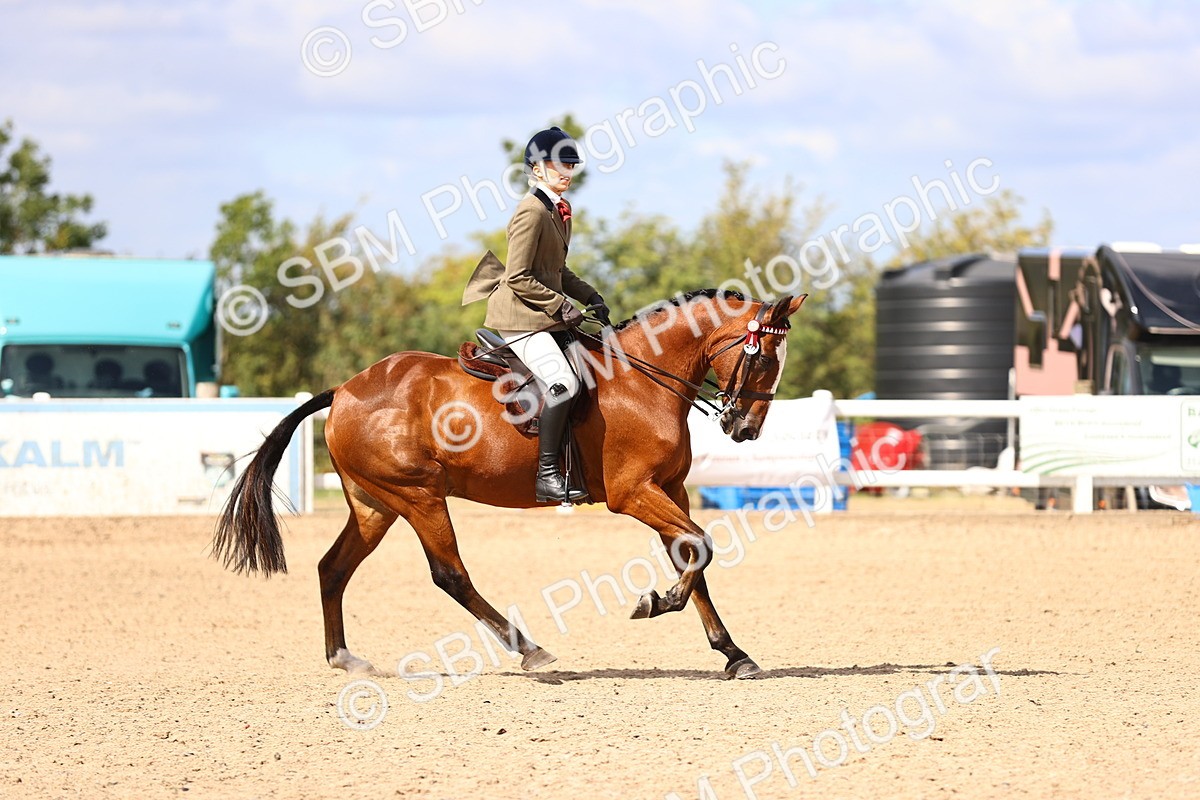 SBM_12918 - Class 410 - Grassroots Ridden - Horse