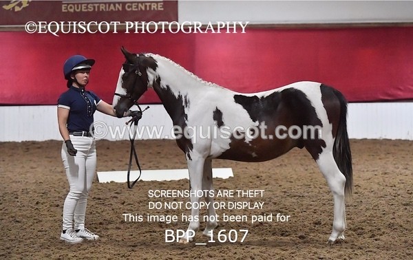 BPP_1607 - MORNING 9AM - 12PM