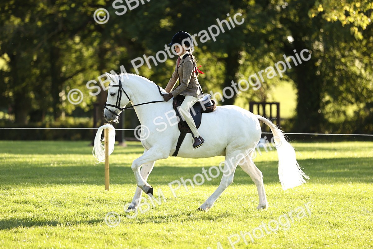 SBM_29625 - S7 - Novice & Newcomers Ridden Pony