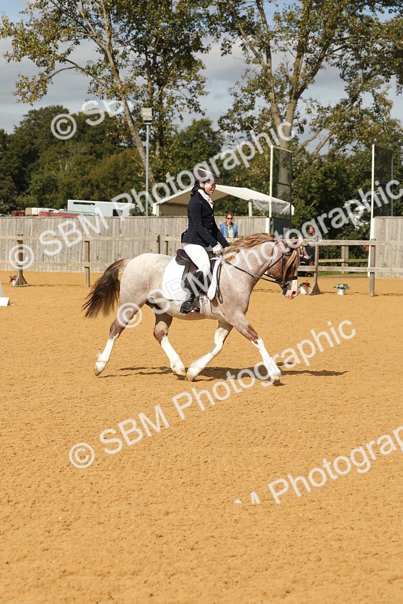 SBM_43685 - D21 - Junior Championship - Intro A