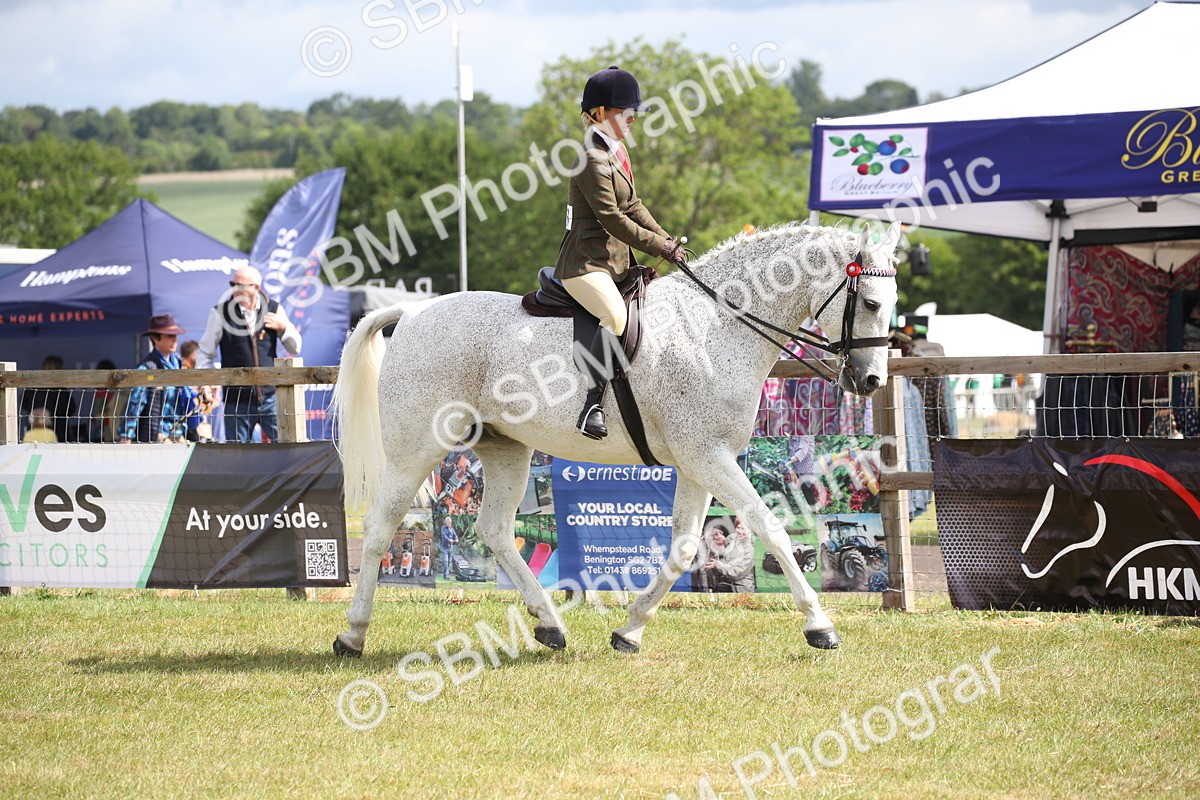 SBM_13192 - Class 95-96 - LIHS BSHA Rising Star Hack Riding Horse