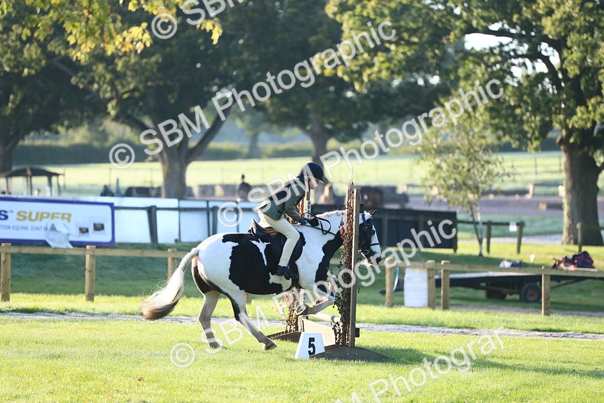 SBM_37144 - S29 - Novice & Newcomers Working Hunter Pony