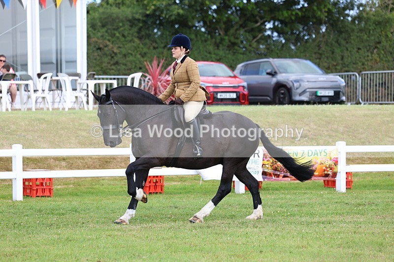 3E7A9729 - Class 5: Rising Star Lightweight/Heavyweight Cobs