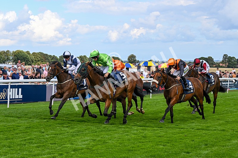 300826-Race 2-Jm Jungle-9684 - Race 2 2.15pm William Hill Beverley Bullet Sprint Stakes