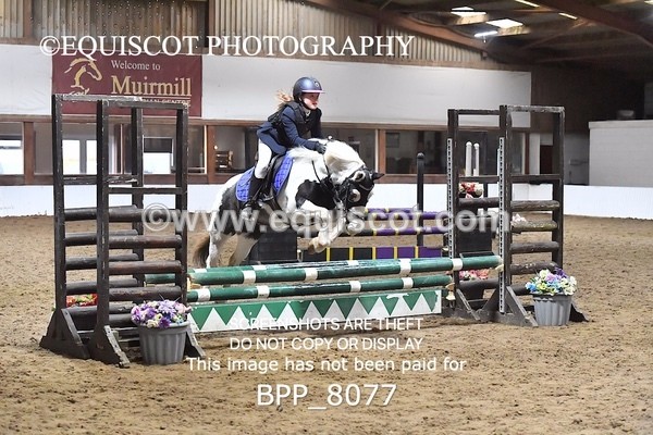 BPP_8077 - CLASS 1  Club/ Unaffiliated 60cms Open