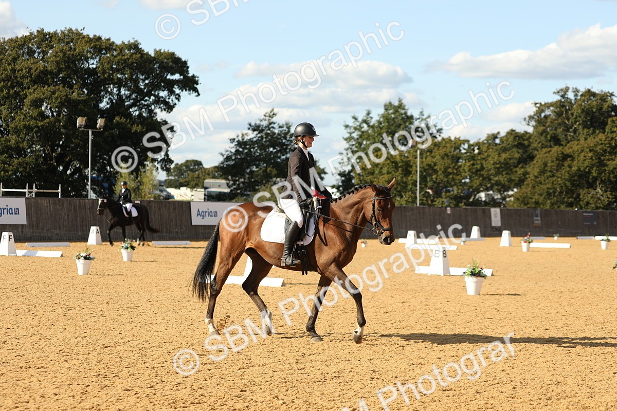 SBM_26776 - D17 - Grand Tour Championship - Novice 27