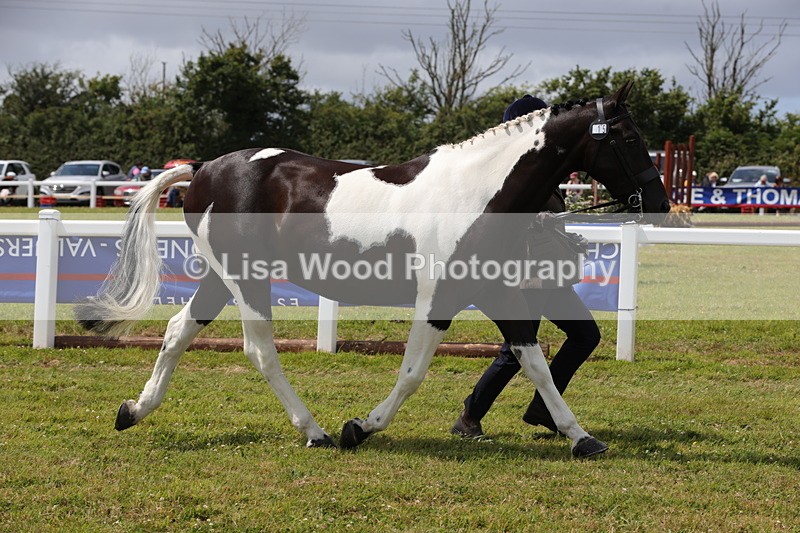 1X9A4732 - Class 35: Veteran In Hand