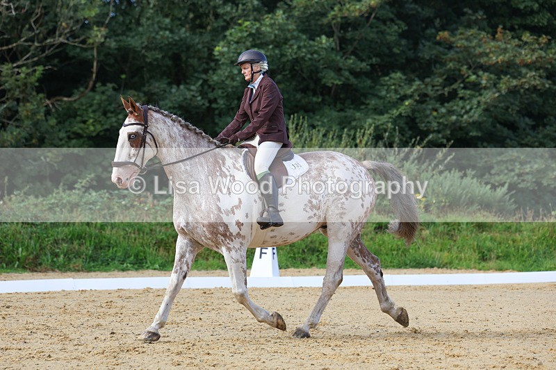 3E7A2365 - Class 1: Intro 4 2024 section A