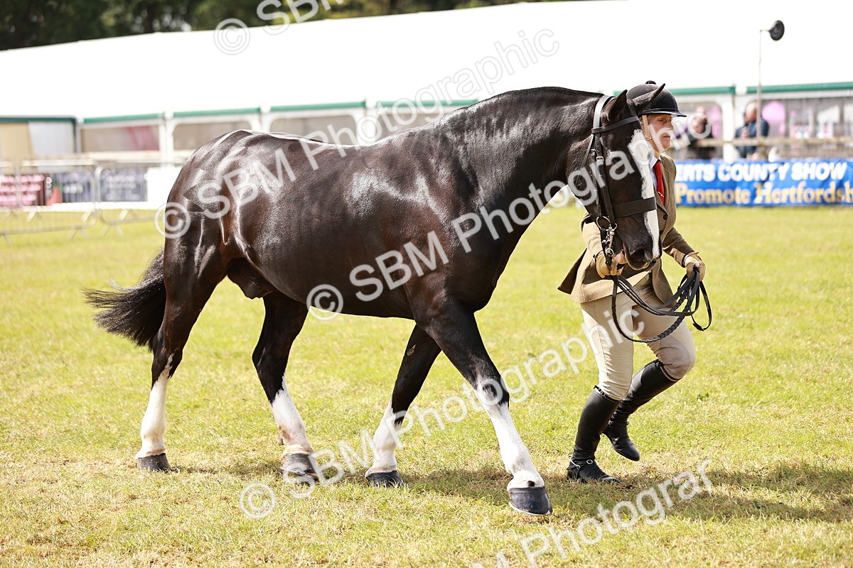 SBM_13133 - Class 85-87 - RIHS Cobs