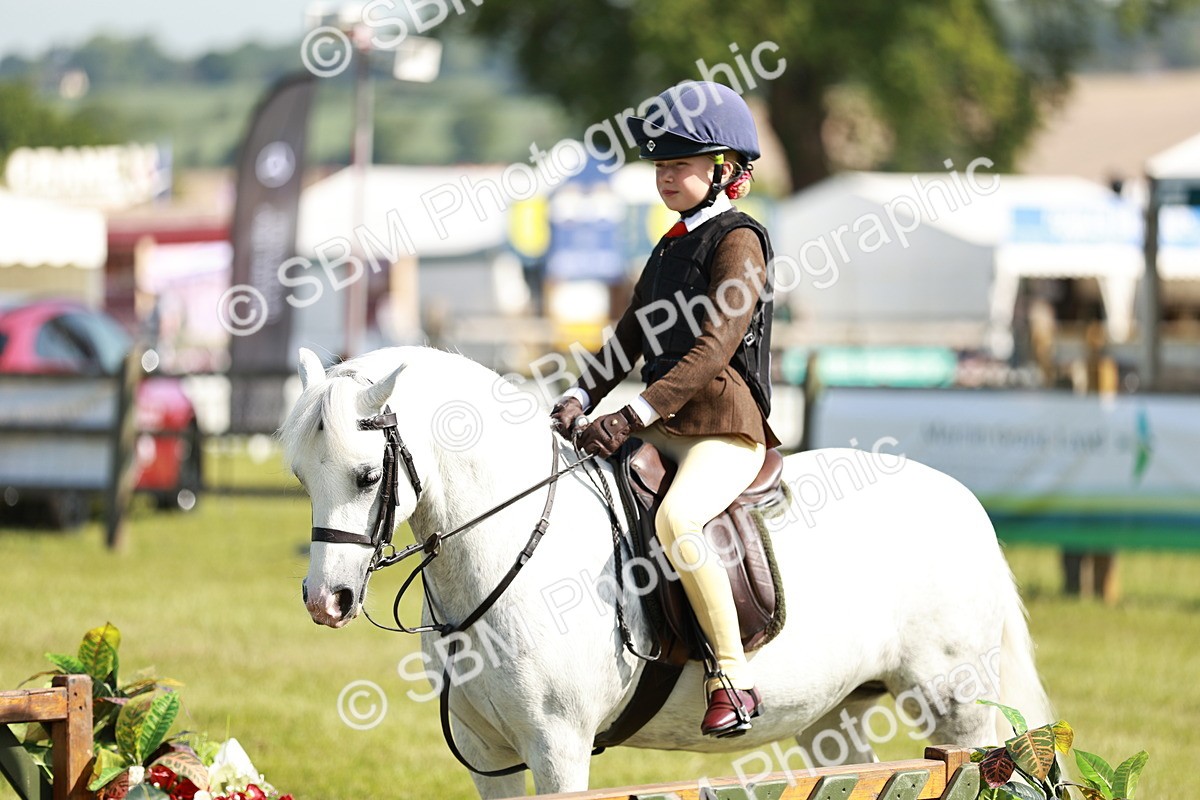 SBM_12683 - Class 106-107 - BSPS LIHS Working Sports Pony