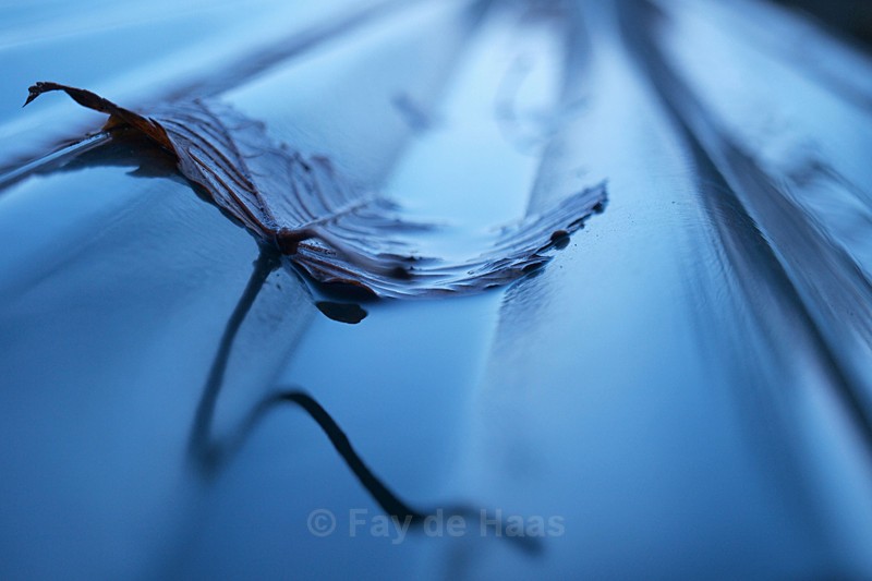 Blue 1 - Exhibition Images
