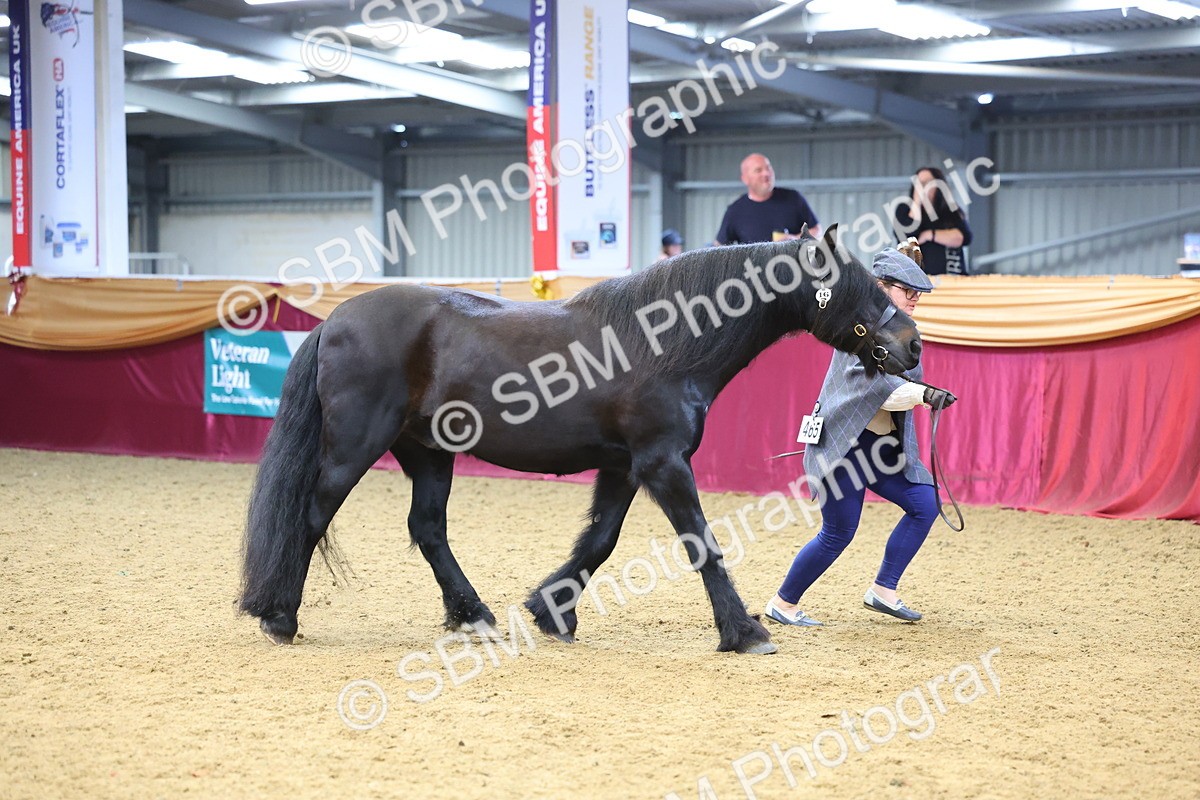 SBM_22662 - Class 903 - Supreme Final - IH Pre Vet