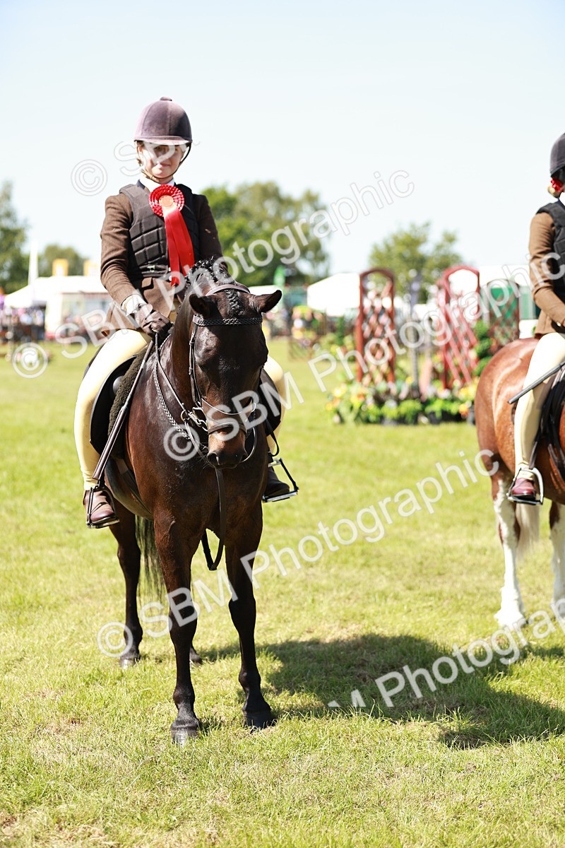 SBM_17656 - Class 112-113 - BSPS LIHS Working Sports Pony