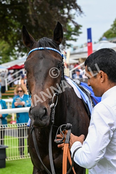 260725-Race 2-Elmonjed-0382 - Race 2 2.00pm Sky Bet Dash Handicap