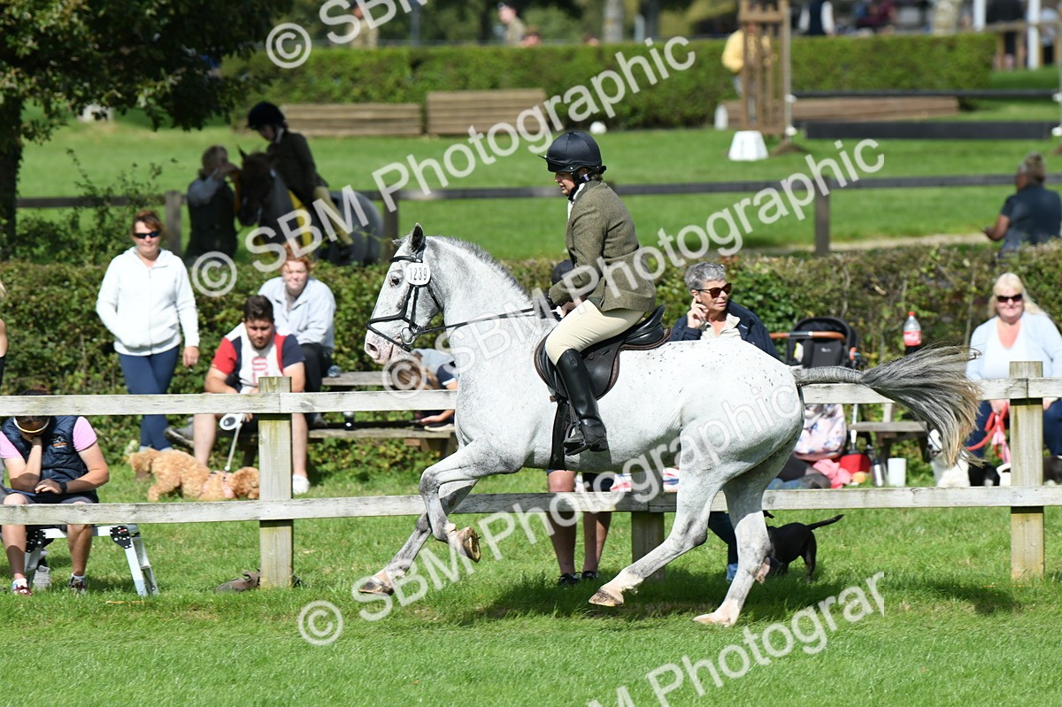 SBM_46893 - S12 - Family Horse & Pony