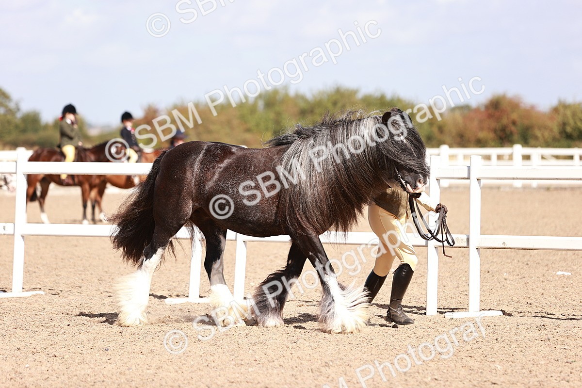 SBM_22970 - Class 707 - IH groom Helpers Class