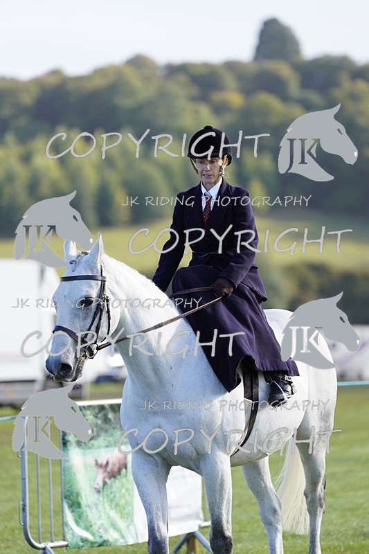 _DSC9381 - Class 8 & 17 Ridden Hunter & Ridden Hunter Pony